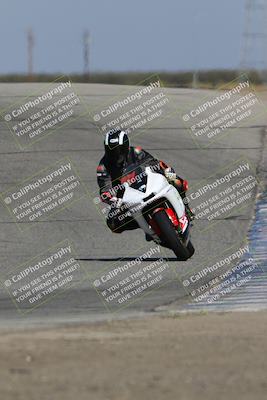 media/Oct-29-2023-Carters at The Track (Sun) [[b2bb4383ab]]/B Plus/120pm (Outside Grapevine)/